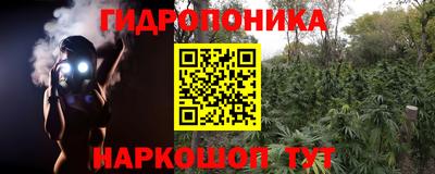 шишки Кинель