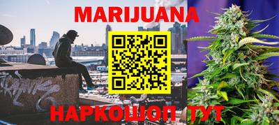 индика Кимры