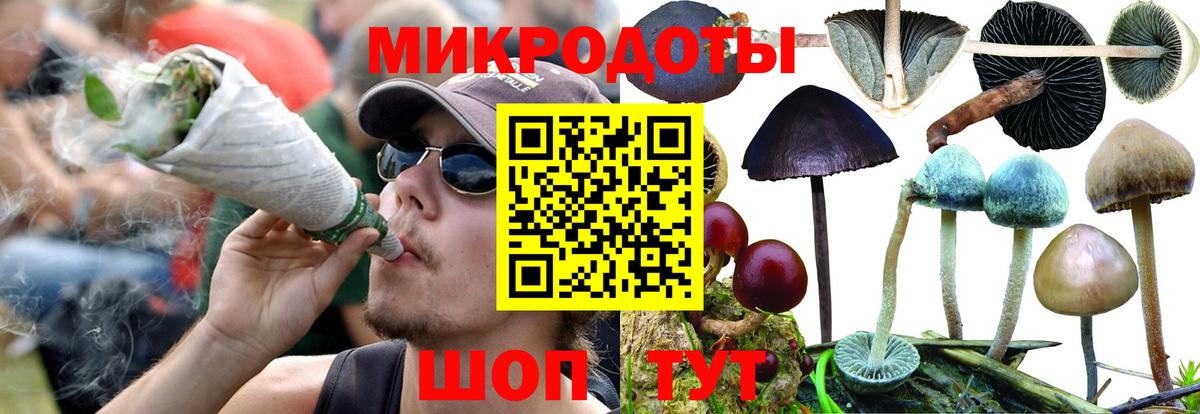 Конаково  Псилоцибиновые грибы GOLDEN TEACHER  Псилоцибиновые грибы мицелий  Вход с VPN 