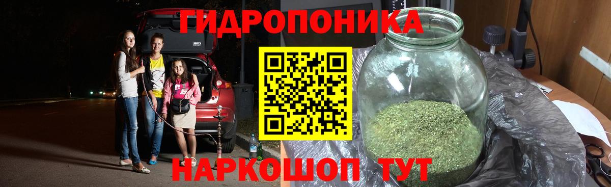 Марихуана OG Kush Конаково